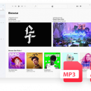 ViWizard Apple Music Converter screenshot