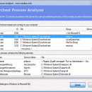 Svchost Process Analyzer screenshot