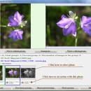 wiseduplicates screenshot