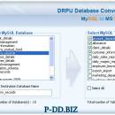 MySQL DB To MS SQL Migrator screenshot