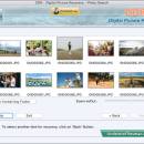 Picture Undelete Software Mac screenshot