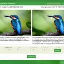 Black Bird Image Optimizer screenshot