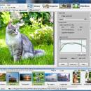 Artensoft Photo Editor screenshot