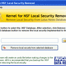 Lotus Notes Local Security Removal screenshot