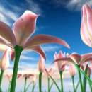 Flowers Meadow 3D screenshot