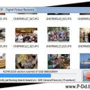 Restore Digital Pictures screenshot