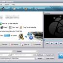 Aiseesoft Video to SWF Converter screenshot