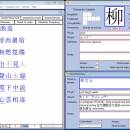 Chinese Toolbox screenshot