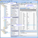 Firebird Data Wizard screenshot