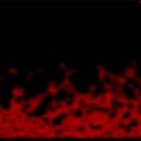 SaversPlanet Flame Screensaver screenshot