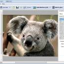 Boxoft Photo SlideShow Builder screenshot