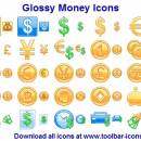 Glossy Money Icons screenshot