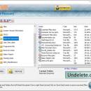 USB Disk Undelete screenshot