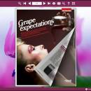 PDF to Flash Brochure (Pro) Neat Theme: Purple screenshot