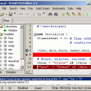 DzSoft Perl Editor screenshot