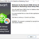 Devart ODBC Driver for Salesforce Marketing Cloud screenshot