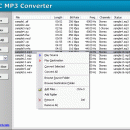 FLAC MP3 Converter screenshot