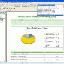 PrinterAdmin Print Job Report screenshot