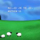 Feed My Sheep screenshot