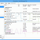 Chameleon Task Manager Pro screenshot