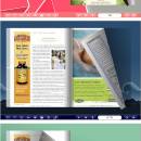 Flipbook_Themes_Package_Classical_Simple screenshot