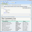 DTM Query Reporter screenshot