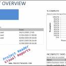 ProjectViewerReport Project Overview Report screenshot