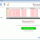 Flash Drive Deleted File Recovery screenshot