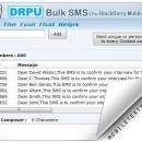 Blackberry Mobile Text SMS screenshot