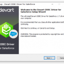 Devart ODBC Driver for Salesforce screenshot