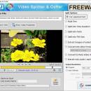 Video Splitter Software For Windows OS screenshot