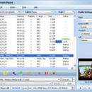 DVD Audio Ripper screenshot