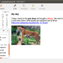 RedNotebook for Mac OS X screenshot