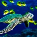 Sea Turtle Animated Wallpaper screenshot
