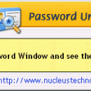 Nucleus Kernel Password Unmask screenshot