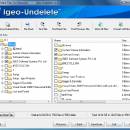 IGEO UNDELETE screenshot