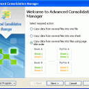 Advanced Consolidation Manager screenshot
