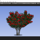 Tree Studio screenshot