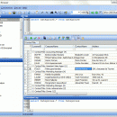 Database Browser screenshot