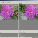 Steg Easy cross platform steganography screenshot