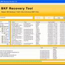 Repair BKF File screenshot