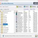 Memory Stick Files Recovery screenshot