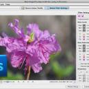 Neat Image plug-in for Photoshop x64 screenshot